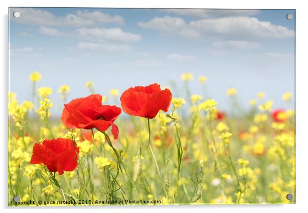 poppy flowers nature spring scene Acrylic by goce risteski