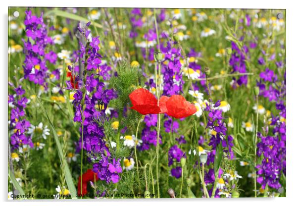 colorful spring wild flowers Acrylic by goce risteski
