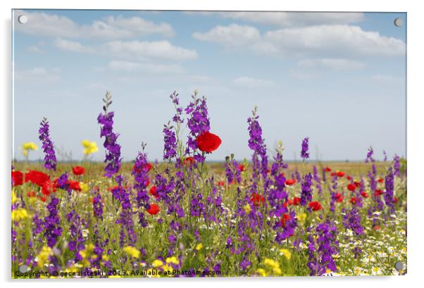spring wild flowers meadow Acrylic by goce risteski