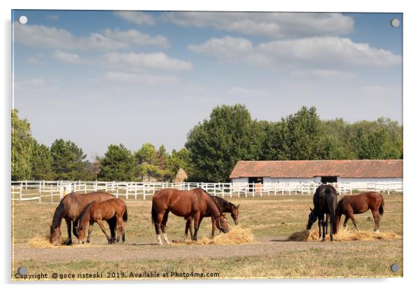horses in corral farm scene Acrylic by goce risteski