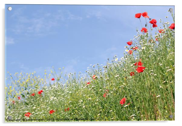 meadow with wild flowers landscape Acrylic by goce risteski