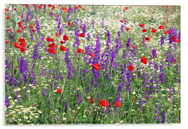 meadow with wild flowers spring season Acrylic by goce risteski