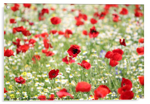 red and white flowers spring season Acrylic by goce risteski