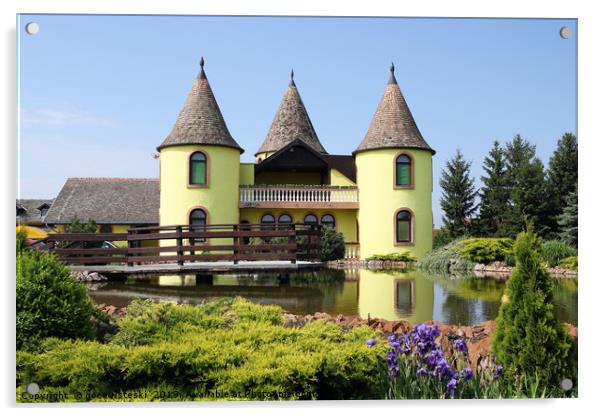 castle with pond Eastern Europe Serbia Acrylic by goce risteski