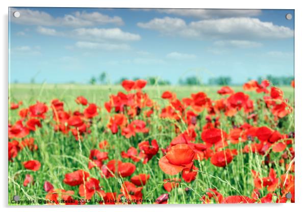 red poppy flowers meadow landscape Acrylic by goce risteski