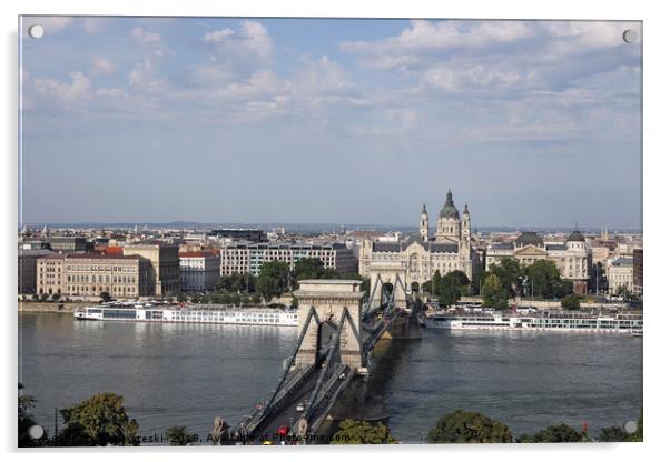 Chain bridge on Danube river Budapest cityscape Acrylic by goce risteski