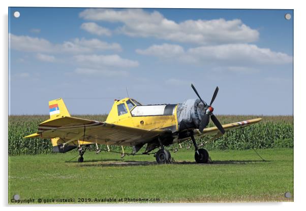 crop duster airplane on airfield Acrylic by goce risteski