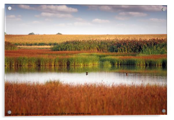 swamp nature landscape autumn season Acrylic by goce risteski