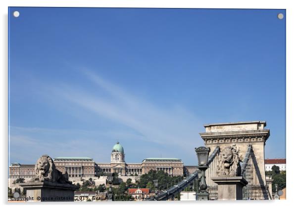 Chain bridge and royal castle Budapest Acrylic by goce risteski
