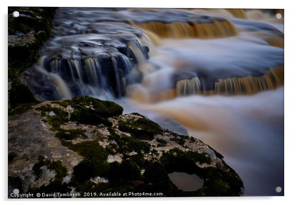 Aysgarth lower falls - Yorkshire Dales  Acrylic by David Tomlinson
