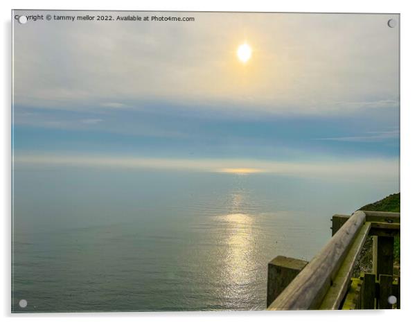 Mesmerising Sunrise at Bempton Cliffs Acrylic by tammy mellor