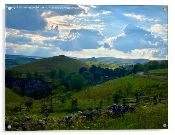 Majestic Chrome Hill Acrylic by tammy mellor