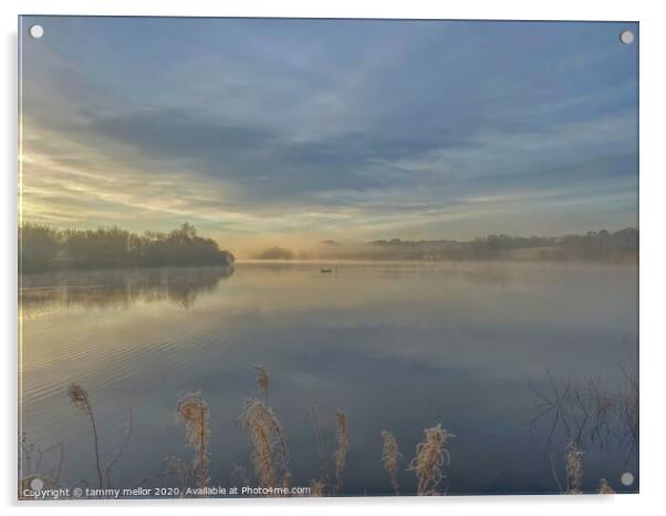 Majestic Morning Sky Acrylic by tammy mellor