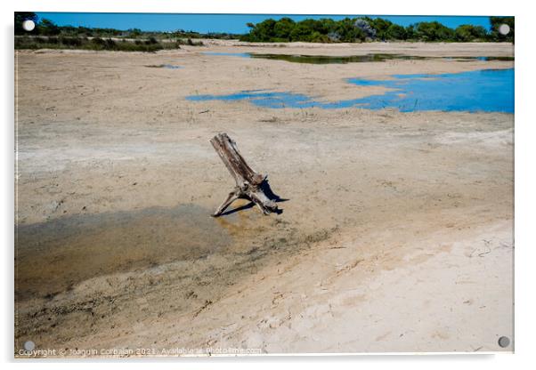 A dry uprooted tree trunk in a dry riverbed. Acrylic by Joaquin Corbalan