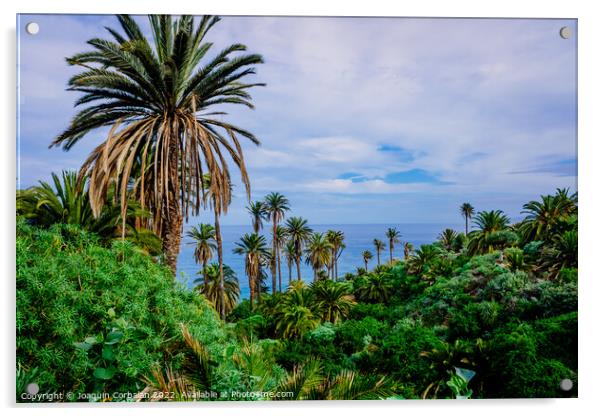 Plantation of banana trees and tropical fruits near the sea, on  Acrylic by Joaquin Corbalan