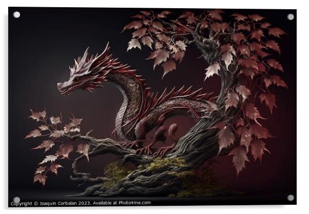 An Asian dragon, elongated snake-like and scaly, isolated on bac Acrylic by Joaquin Corbalan