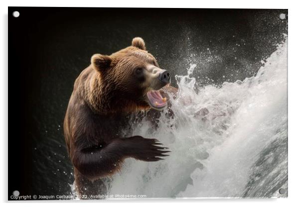 A bear tries to catch a salmon that jumps in a stream. Ai genera Acrylic by Joaquin Corbalan