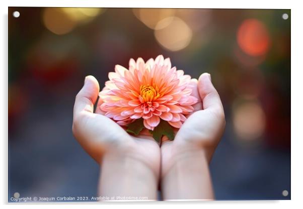 Hand holds a delicate lotus flower, peace and harm Acrylic by Joaquin Corbalan