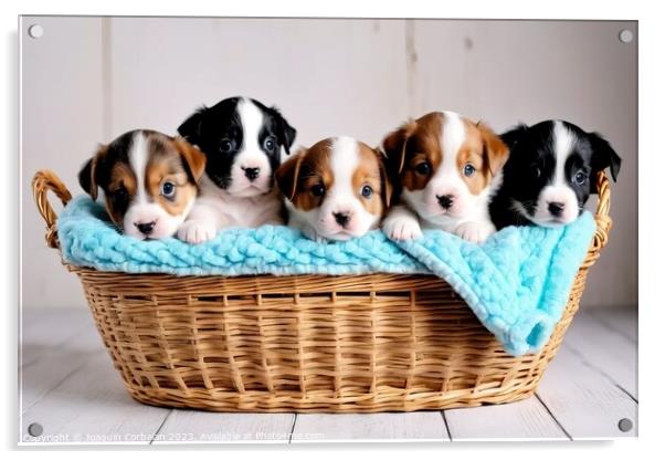Tender puppies in a basket, an image that reaches  Acrylic by Joaquin Corbalan
