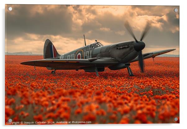 Classic spitfire aircraft, perched in a field of red poppies celebrating the Battle of Britain Memorial Acrylic by Joaquin Corbalan