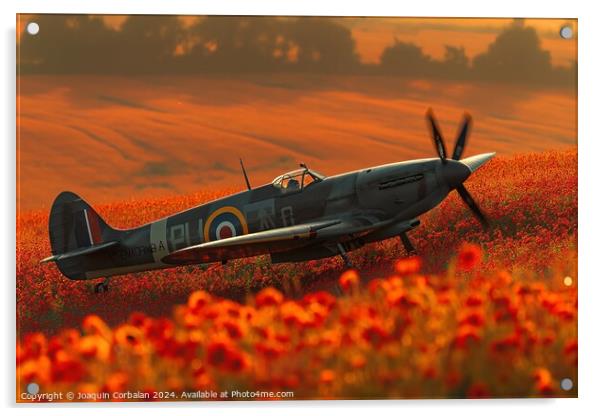 Classic spitfire aircraft, perched in a field of red poppies celebrating the Battle of Britain Memorial Acrylic by Joaquin Corbalan