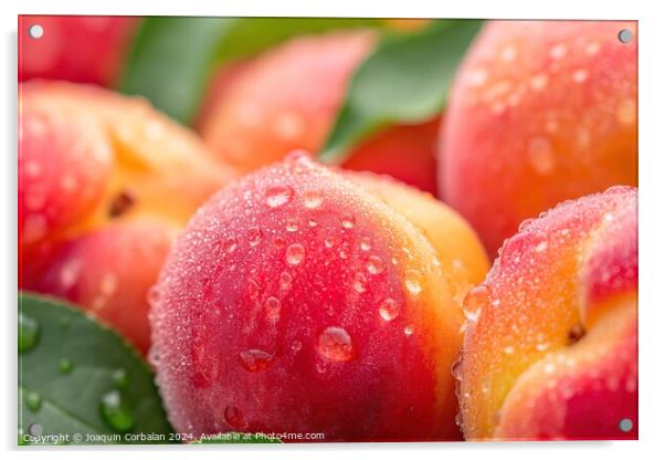 A detailed view capturing the water droplets on a bunch of peaches, highlighting their vibrant colors and juicy texture. Acrylic by Joaquin Corbalan
