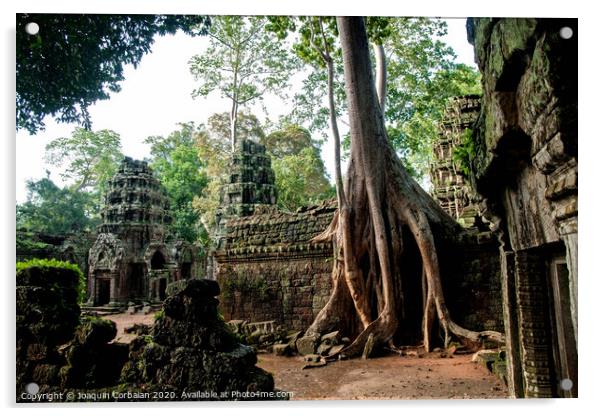 Religious temples in Cambodia of Angkor Wat Acrylic by Joaquin Corbalan
