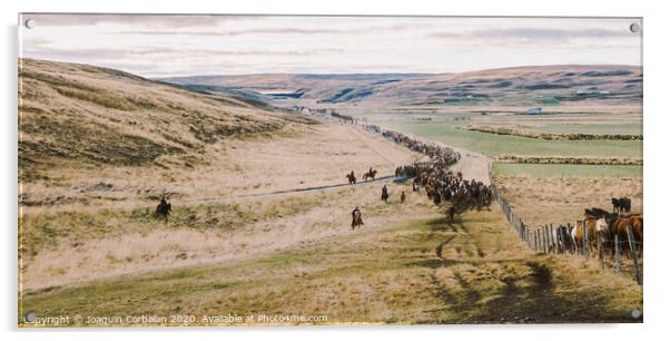 Authentic wild Icelandic horses in nature riding. Acrylic by Joaquin Corbalan