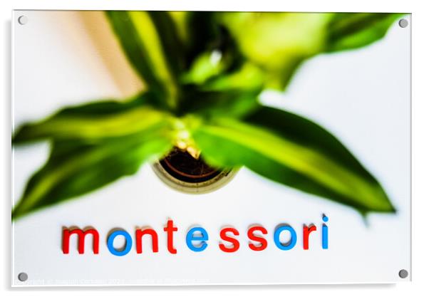 Montessori word written with colorful letters on white background. Acrylic by Joaquin Corbalan