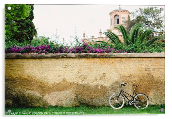 Wall or concrete wall outdoors with plants around and old bike supported and free space to place text in an empty frame Acrylic by Joaquin Corbalan