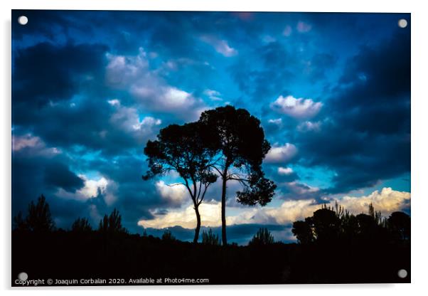 Silhouette of two lonely trees at sunset against the background of a warm blue cloudy sky. Acrylic by Joaquin Corbalan