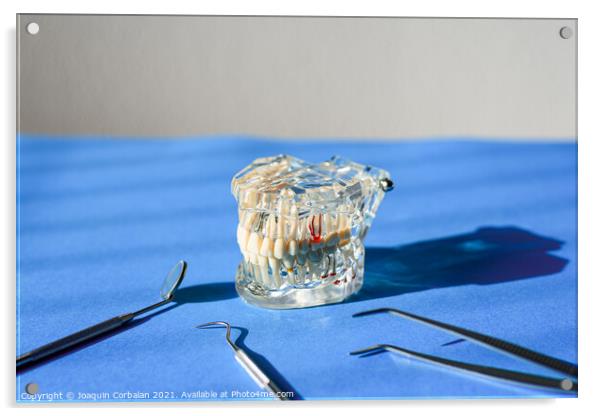 Dental tools for healing dentures, jaw isolated on a dentist doc Acrylic by Joaquin Corbalan