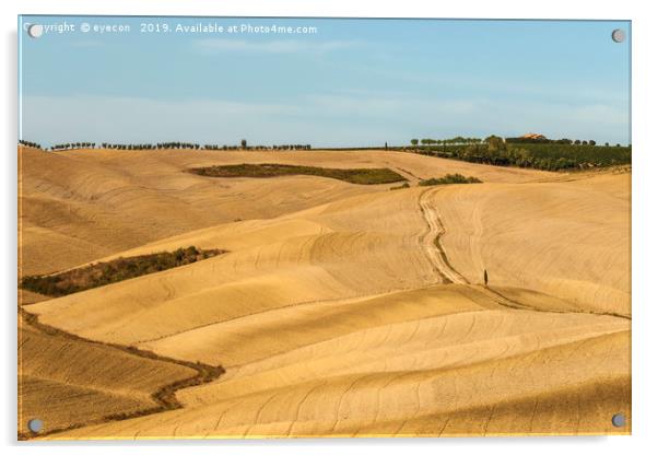 Typical landscapes for Siena Province in Tuscany,  Acrylic by eyecon 