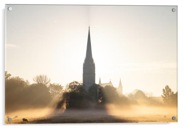 Misty morning in Salisbury Acrylic by Richard Newton