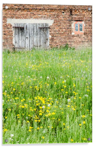 Abandoned Barn   Acrylic by Mike C.S.