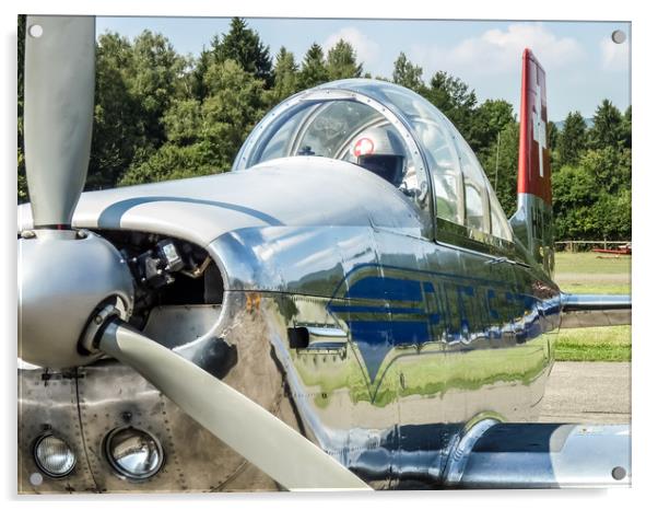 Pilatus P-3 Aircraft   Acrylic by Mike C.S.