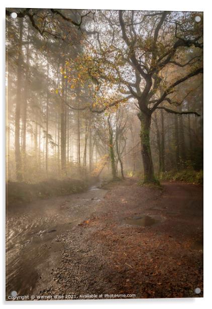 Woodland Foggy Walk Acrylic by Warren Wise
