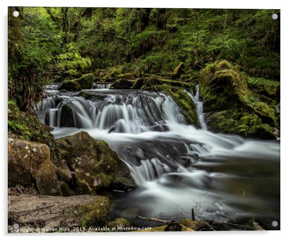 Golitha Falls 2 Acrylic by Warren Wise