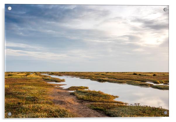 Stiffkey Marshes Norfolk Acrylic by Robbie Spencer