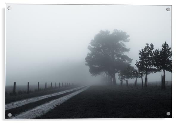 Winter fog Acrylic by David Wall