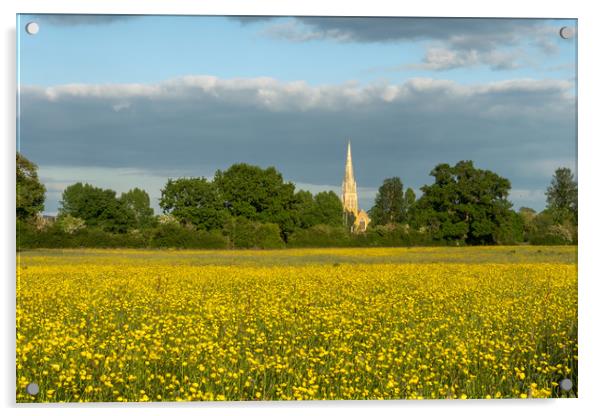 Buttercups  Acrylic by David Wall