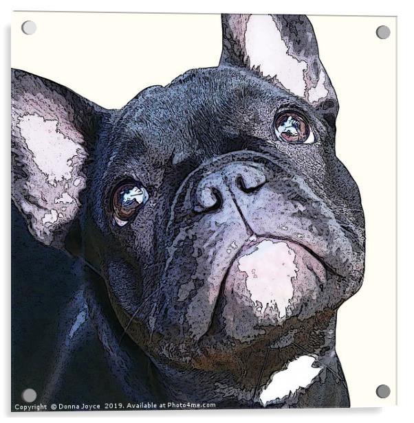 French Bulldog Acrylic by Donna Joyce