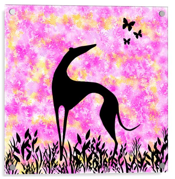 Greyhound Sighthound Silhouette Acrylic by Donna Joyce