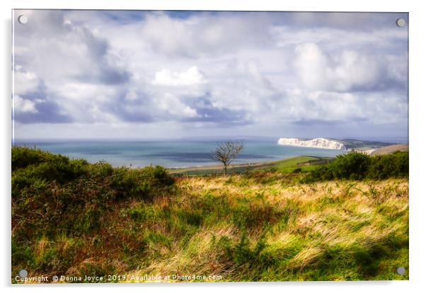 View across the Isle of Wight Acrylic by Donna Joyce