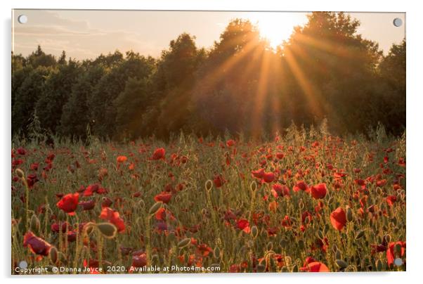 Sunburst over poppy field Acrylic by Donna Joyce