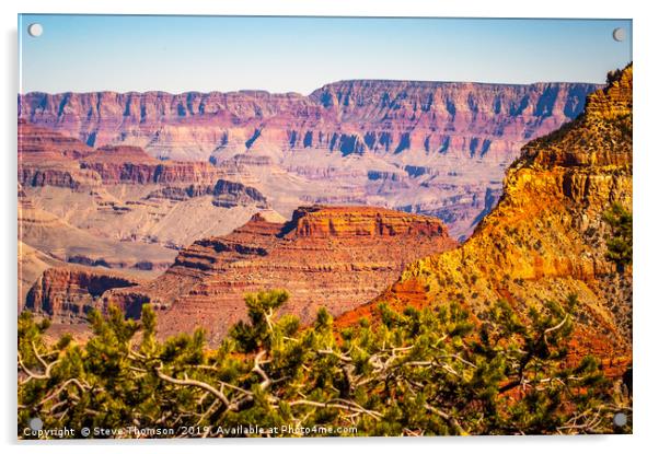 The Grand Canyon from the South Rim Acrylic by Steve Thomson