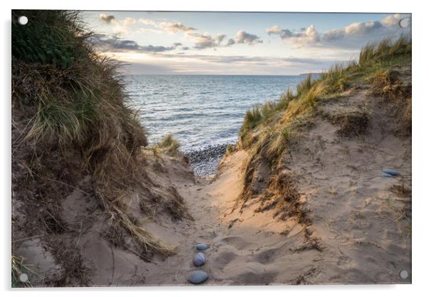 Sea view through the dunes Acrylic by Tony Twyman