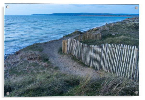 Coast path at Northam Burrows in North Devon Acrylic by Tony Twyman