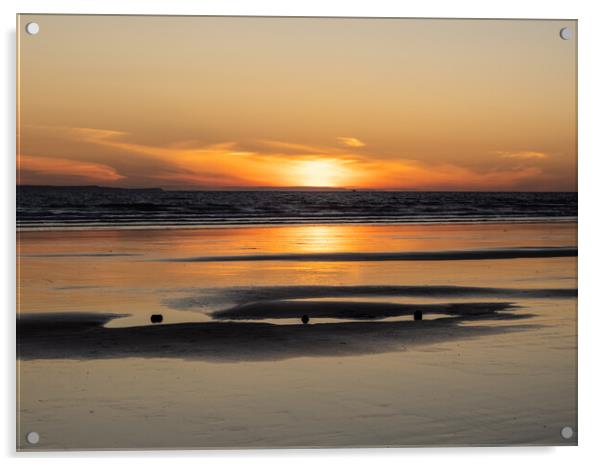 Sunset stumps Acrylic by Tony Twyman
