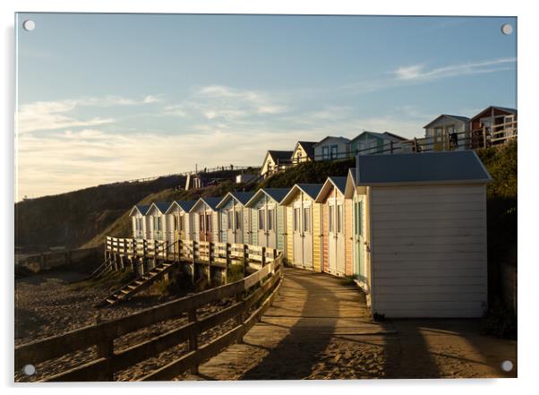 Summerleaze beach huts at Bude Acrylic by Tony Twyman